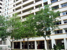Blk 505 Pasir Ris Street 52 (Pasir Ris), HDB Executive #128432